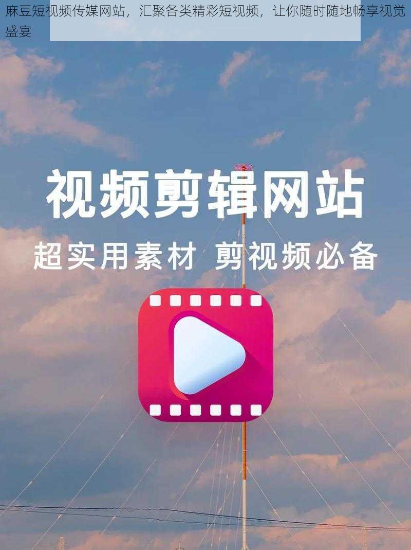 麻豆视传媒官方网站入口在线介绍