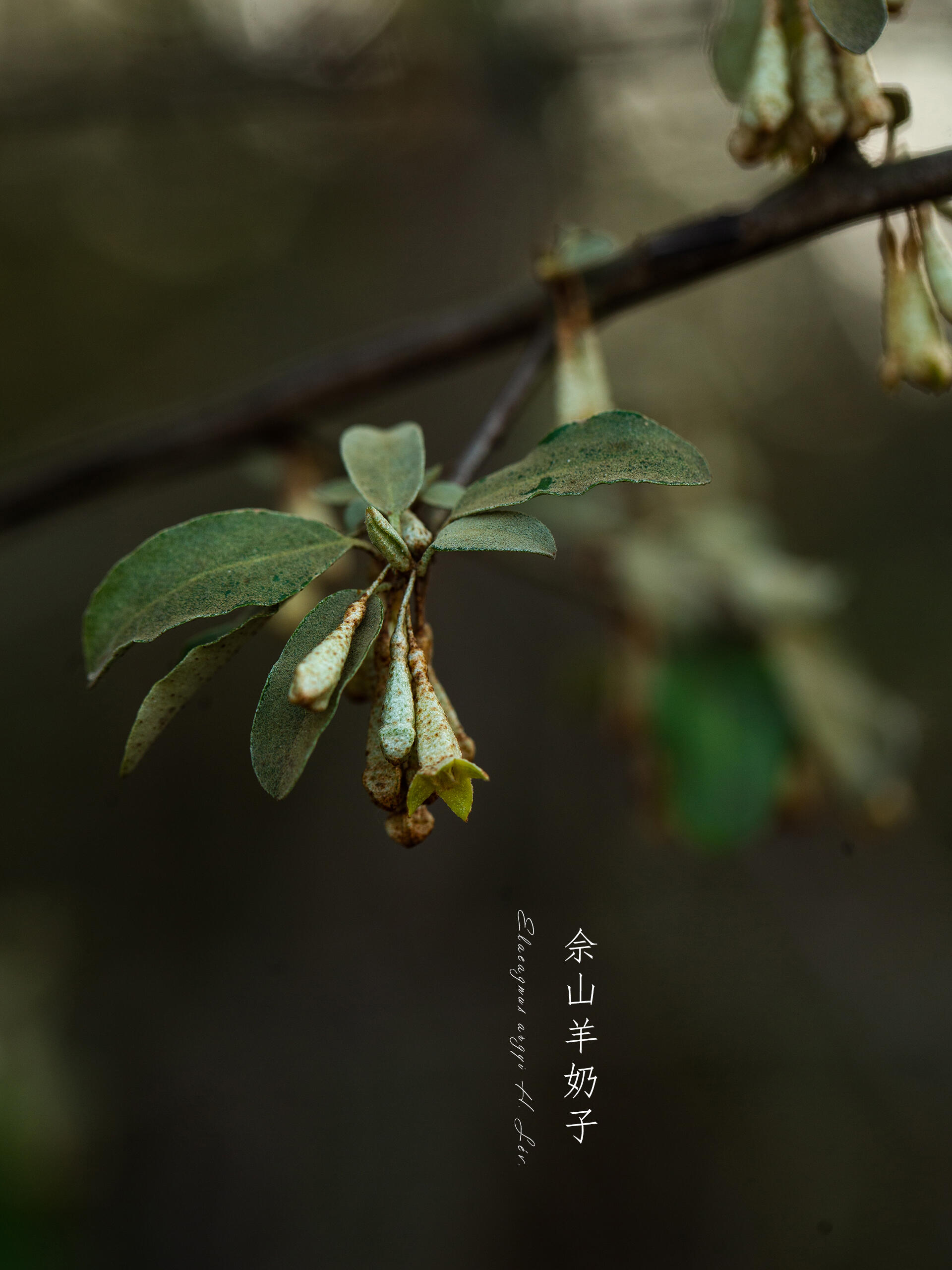h小短文纯洁勿入纯洁勿入-第2张图片