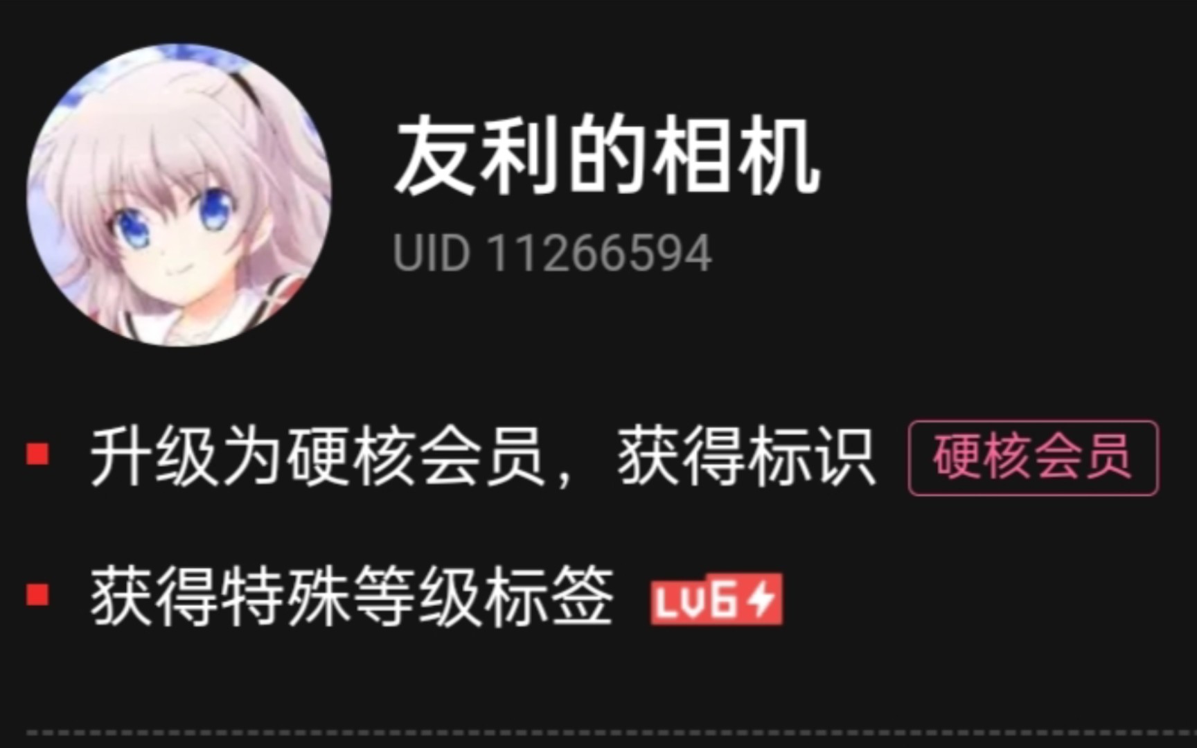 b站硬核会员答题答案大全2024B站硬核会员，独特的会员体验与文化魅力-第2张图片