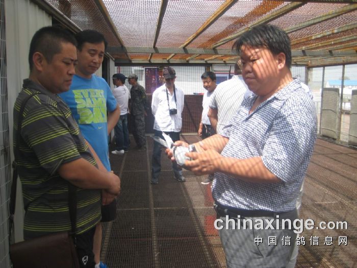 宏翔小蓝视频GY2022的特点宏翔小蓝视频GY2022的特点-第2张图片