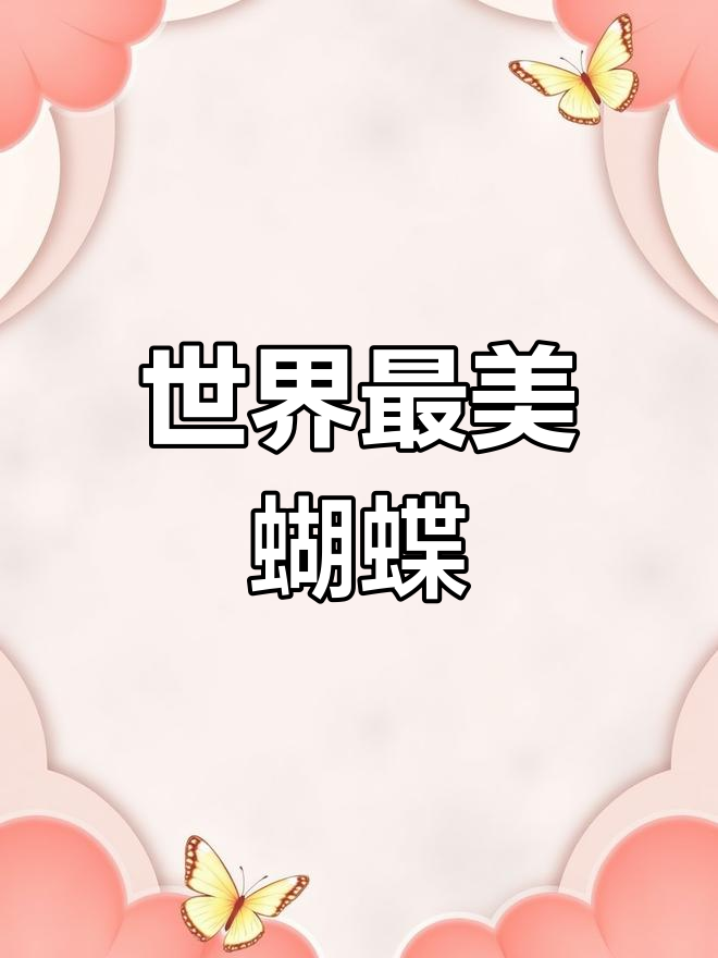 蝴蝶网论坛资料蝴蝶网论坛，探索网络世界的蝴蝶之窗