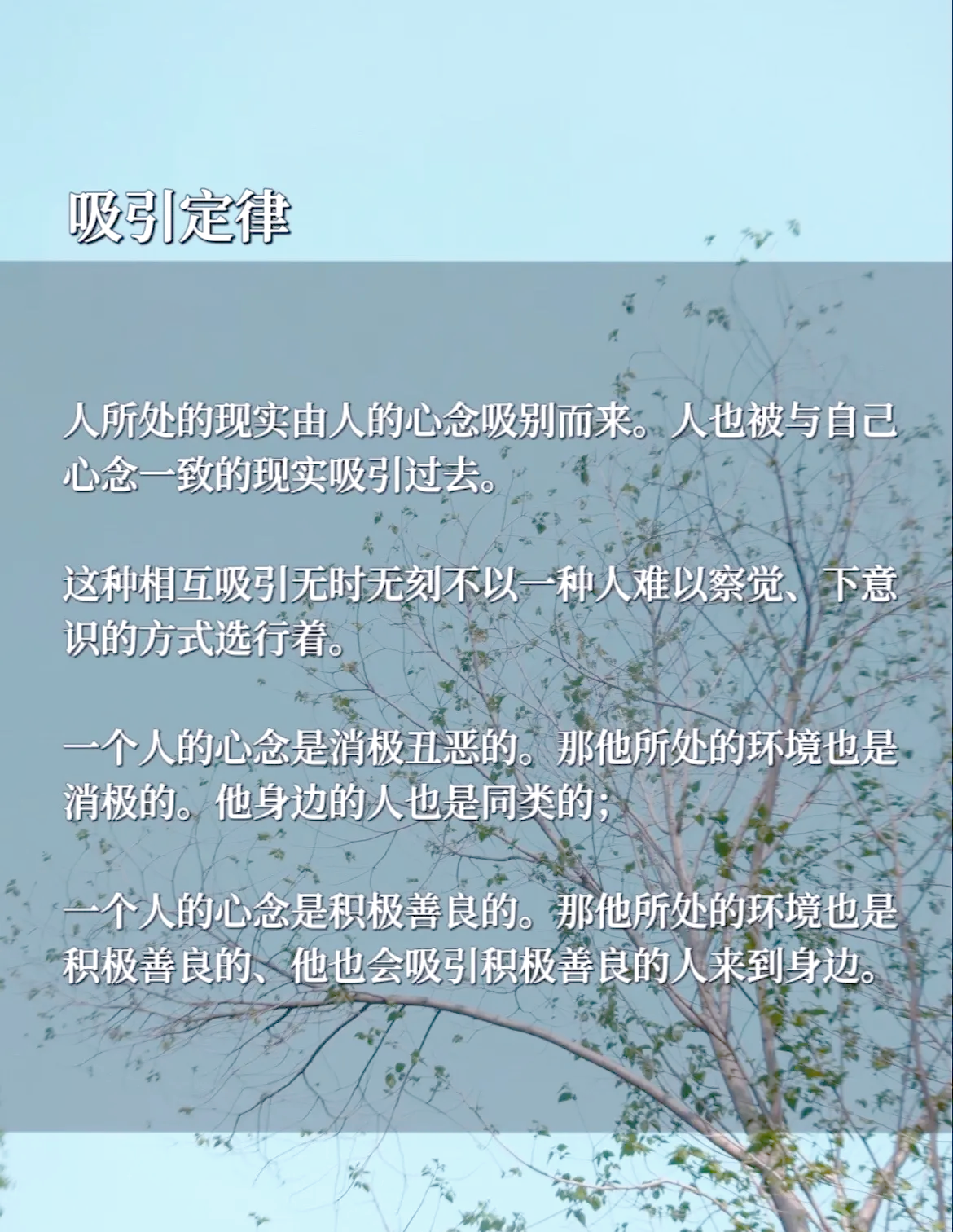 灵值灵值，探寻内心的力量与价值-第1张图片