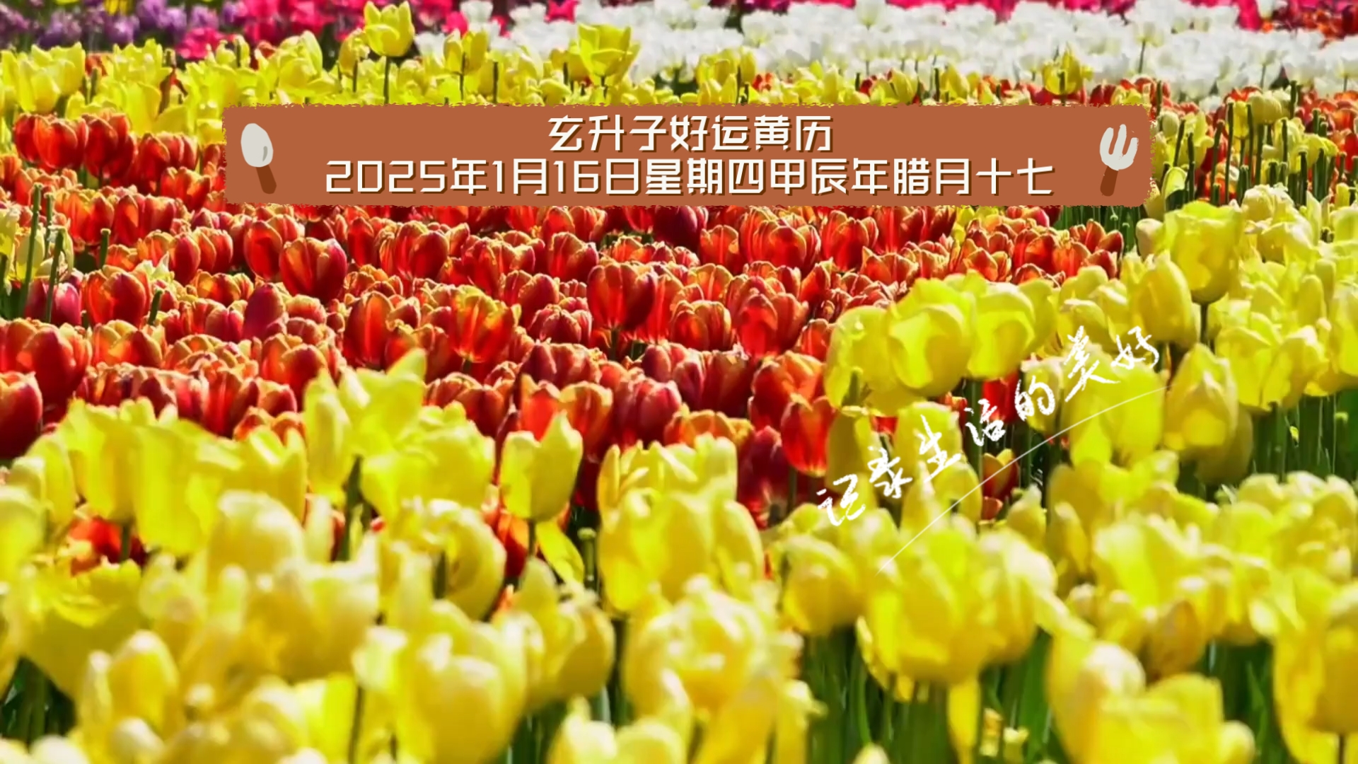 2022年1月4日黄历-第2张图片