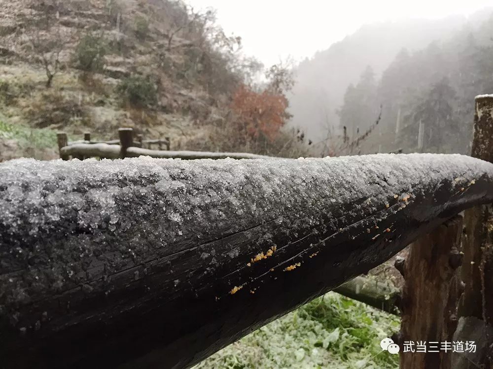 岳的大肥梅开二度岳的大肥梅开二度-第2张图片