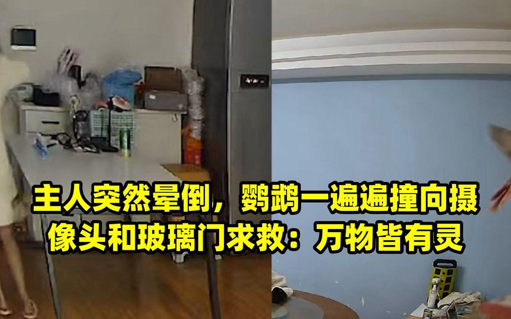 9分10秒头撞玻璃视频大全_第9集9分10秒头撞玻璃视频大全-第1张图片