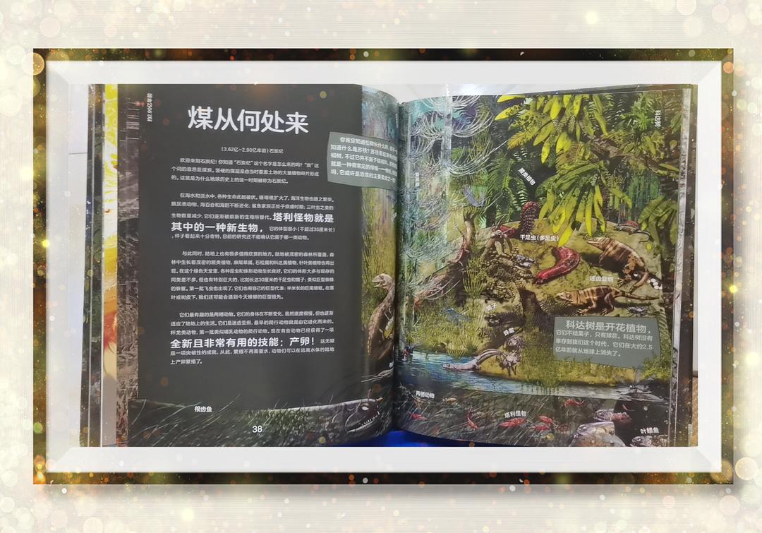 生命水晶种子手机版，探索生命奥秘的新途径-第2张图片