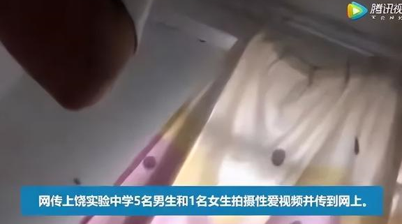 性之网性之网，探索网络时代的性关系与道德困境-第2张图片