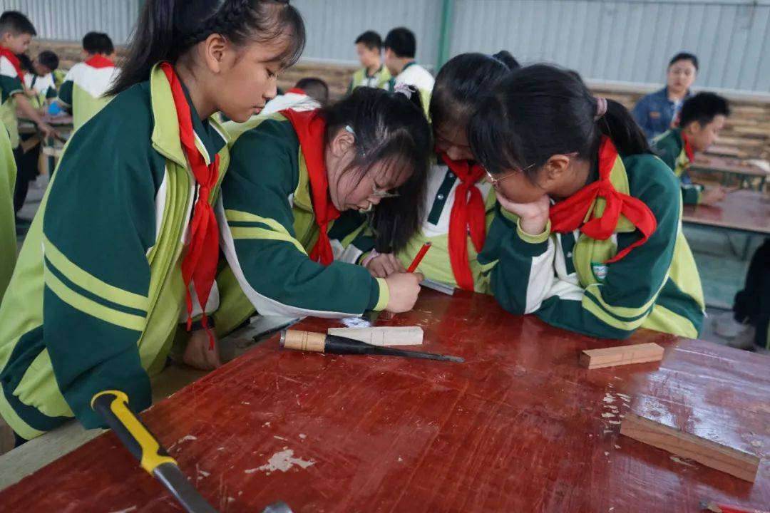 挤出的白色物质——六年级小学生的探索之旅-第2张图片