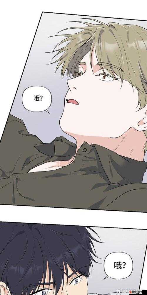 羞羞漫画首页登入入口免费，探索漫画世界的秘密入口-第2张图片