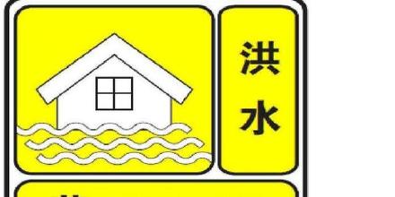 免费黄应用免费黄应用泛滥，隐患与应对