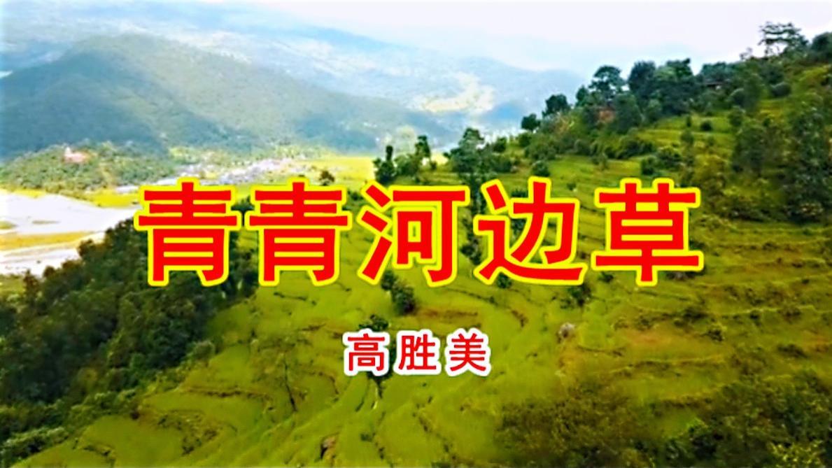 青青河边草免费视频观看6青青河边草免费视频观看-第1张图片