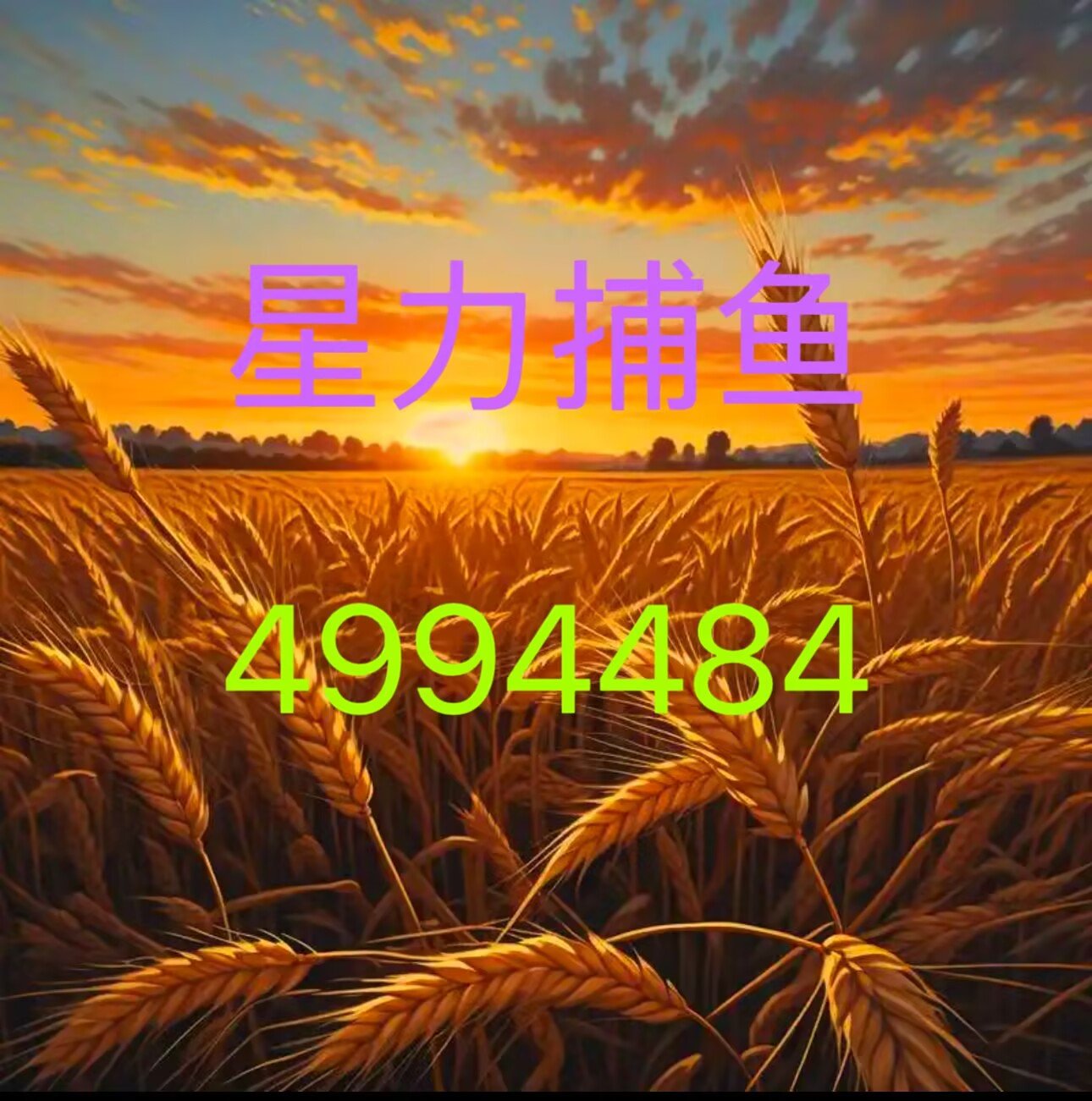 星力手机捕鱼星力手机捕鱼，探索手机游戏的新篇章-第3张图片