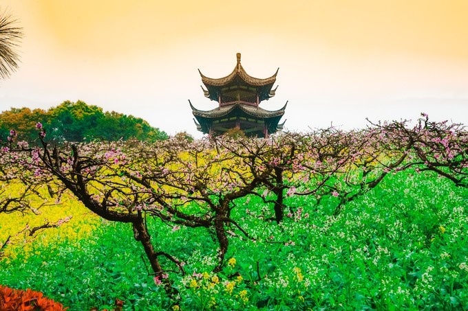 桃花视频免费观看完桃花在线观看免费视频，探索美好时光
