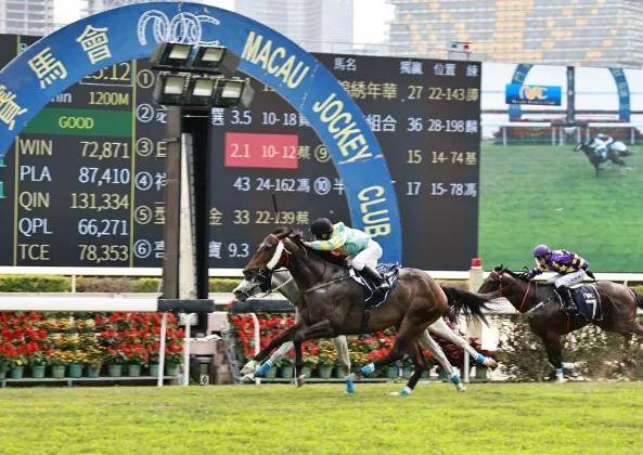 香港内部马料免费资料亮点香港马会内部免费资源介绍-第3张图片