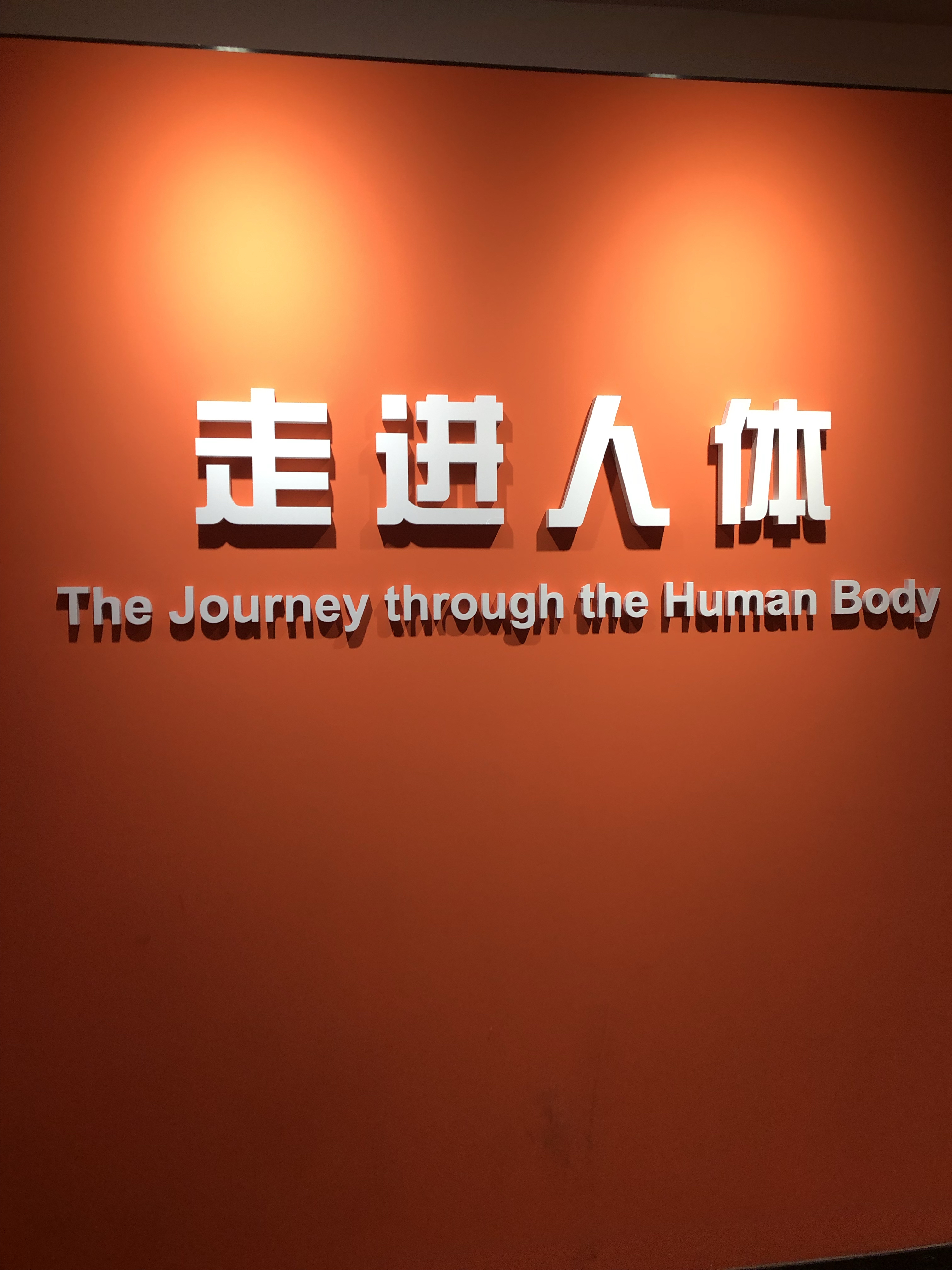 亻体艺术探索之旅