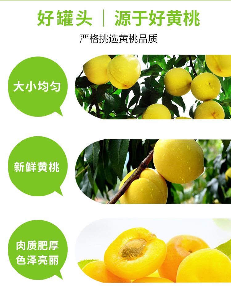 9612黄桃亚洲品质在线观看体验-第1张图片