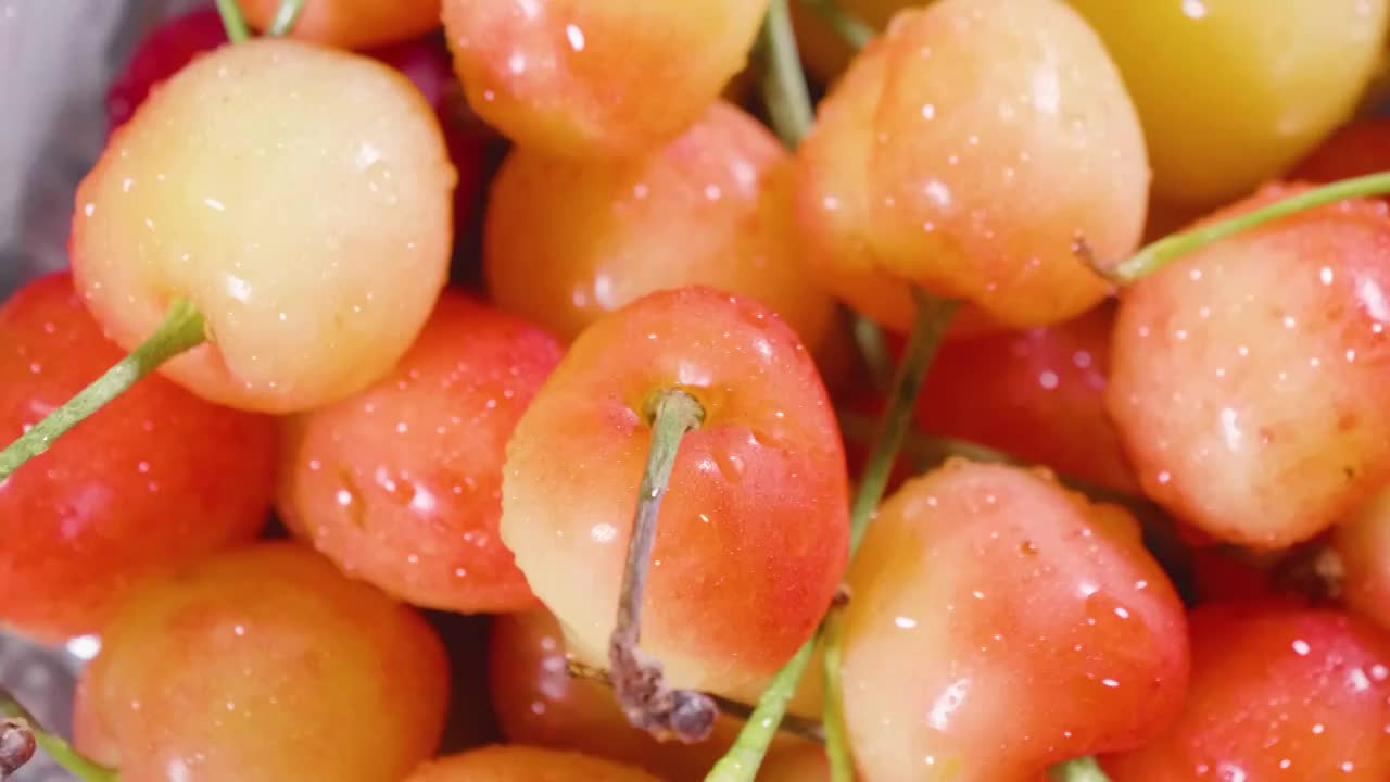 樱桃视频大全版在线观看樱桃视频大全版在线观看-第3张图片