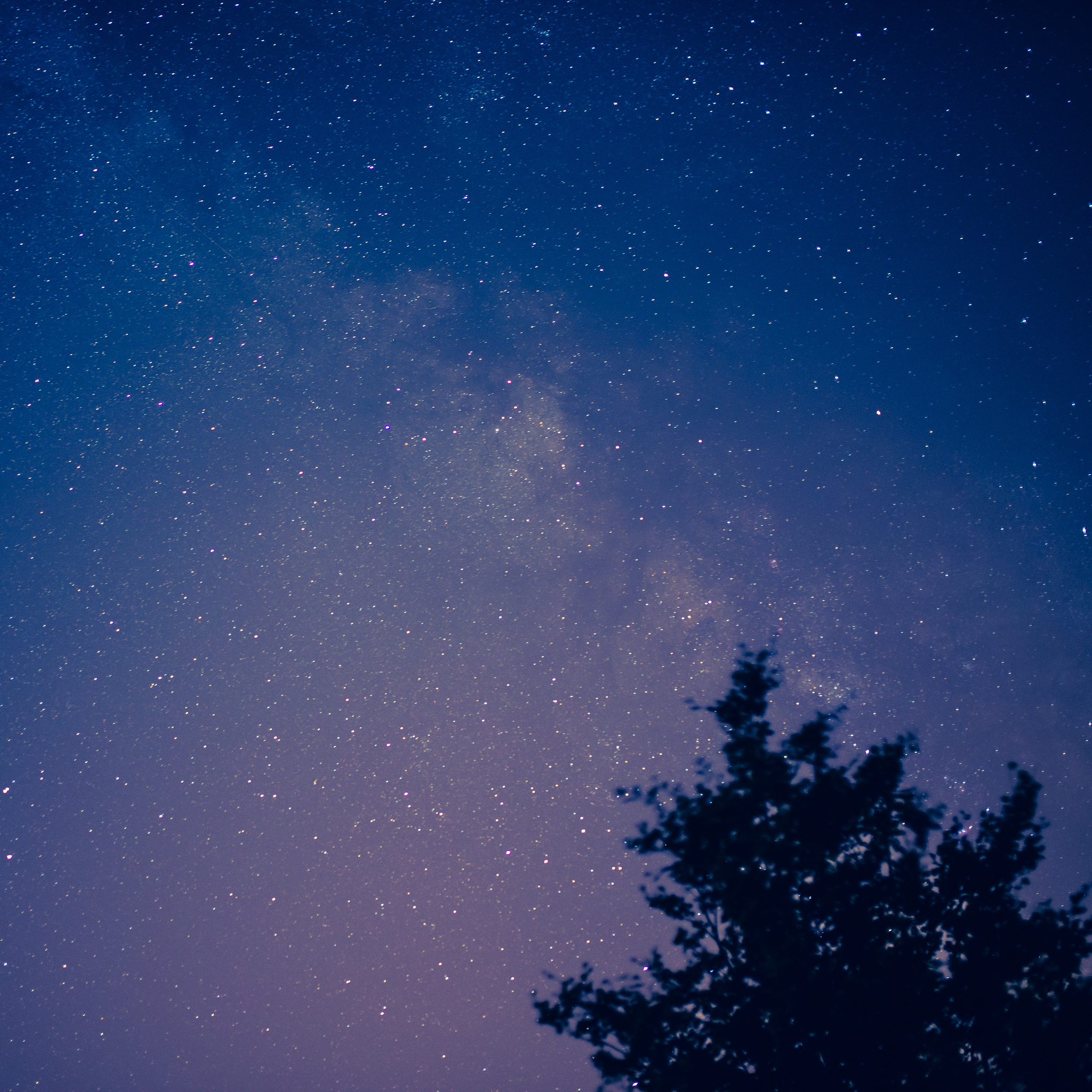 星星结局，星空的浪漫与希望