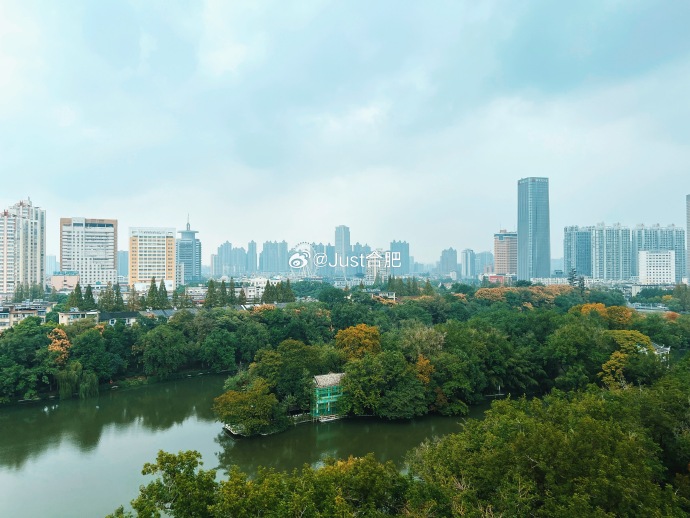 合肥楼凤，城市新篇章-第1张图片