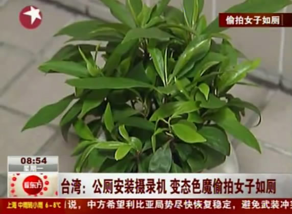 亚洲 综合 图文 偷拍亚洲偷拍文化与图文交融-第1张图片