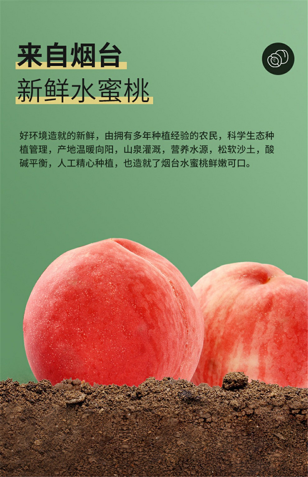 国精产品水蜜桃国精产品——水蜜桃-第1张图片