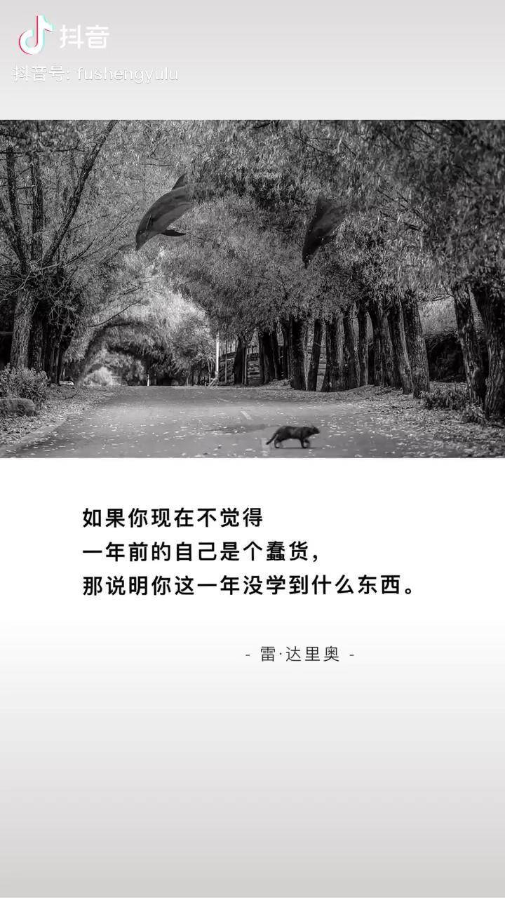 漂亮蠢货注定被炒烂的比喻漂亮蠢货注定被炒烂-第3张图片