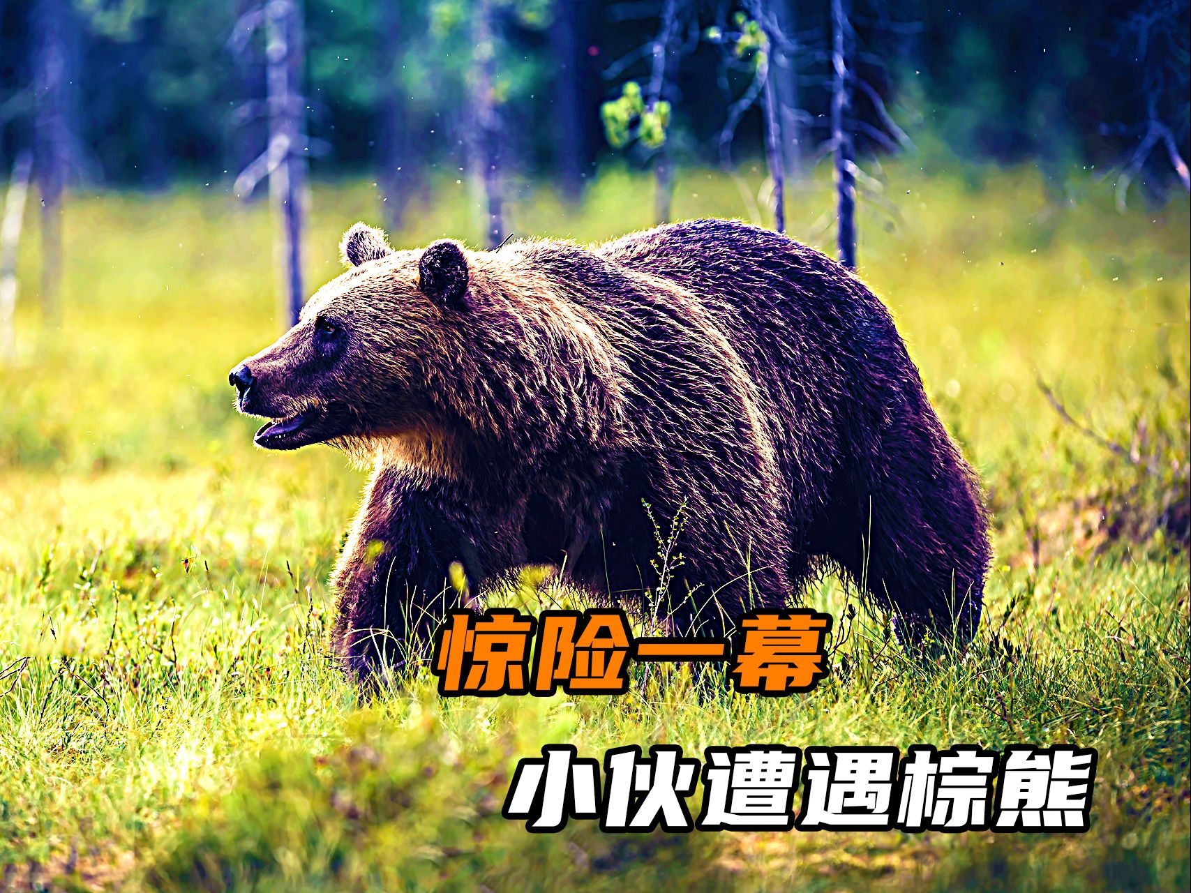 野外的遭遇野外的遭遇-第1张图片