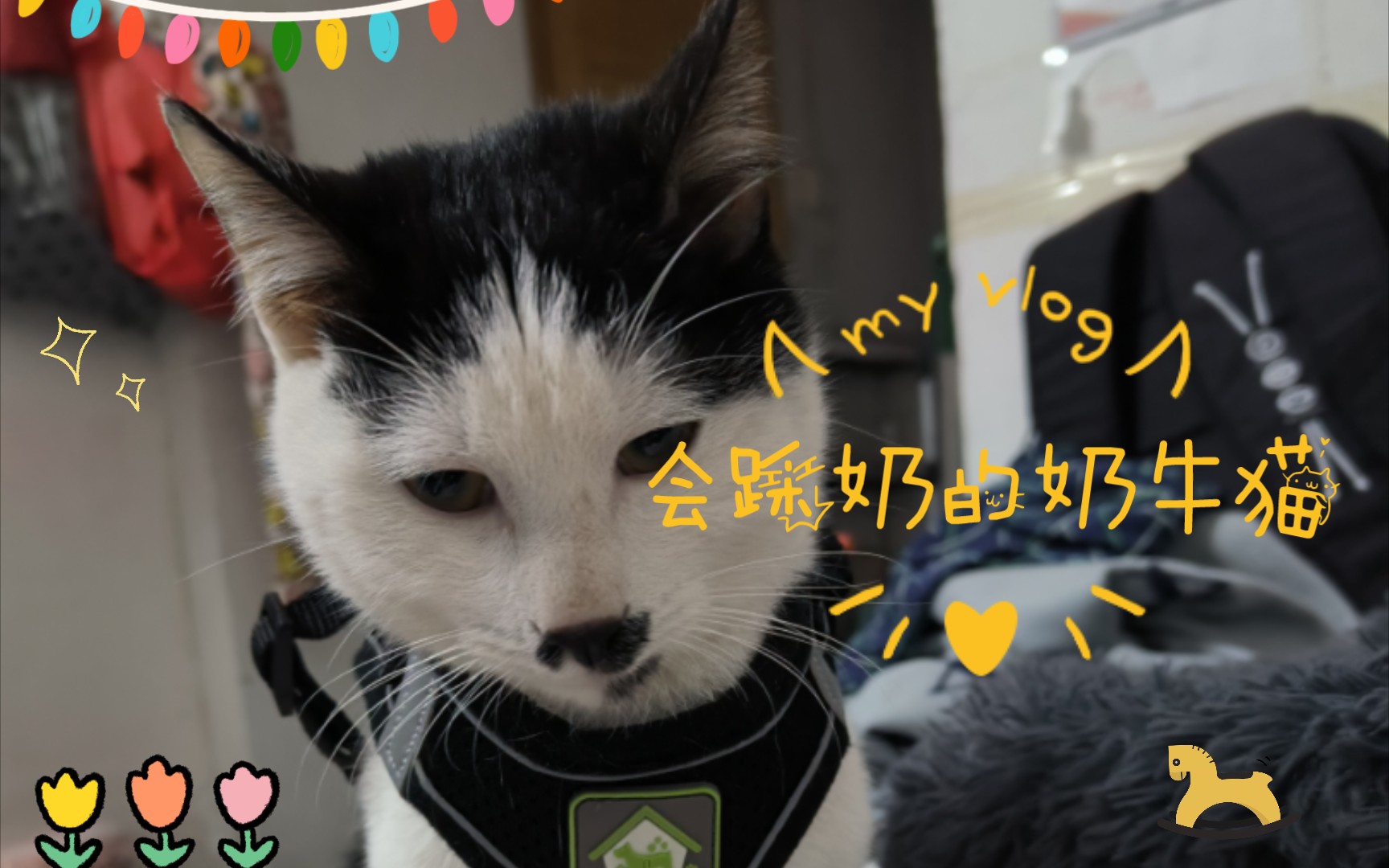 公么天天吃我奶躁我的现象