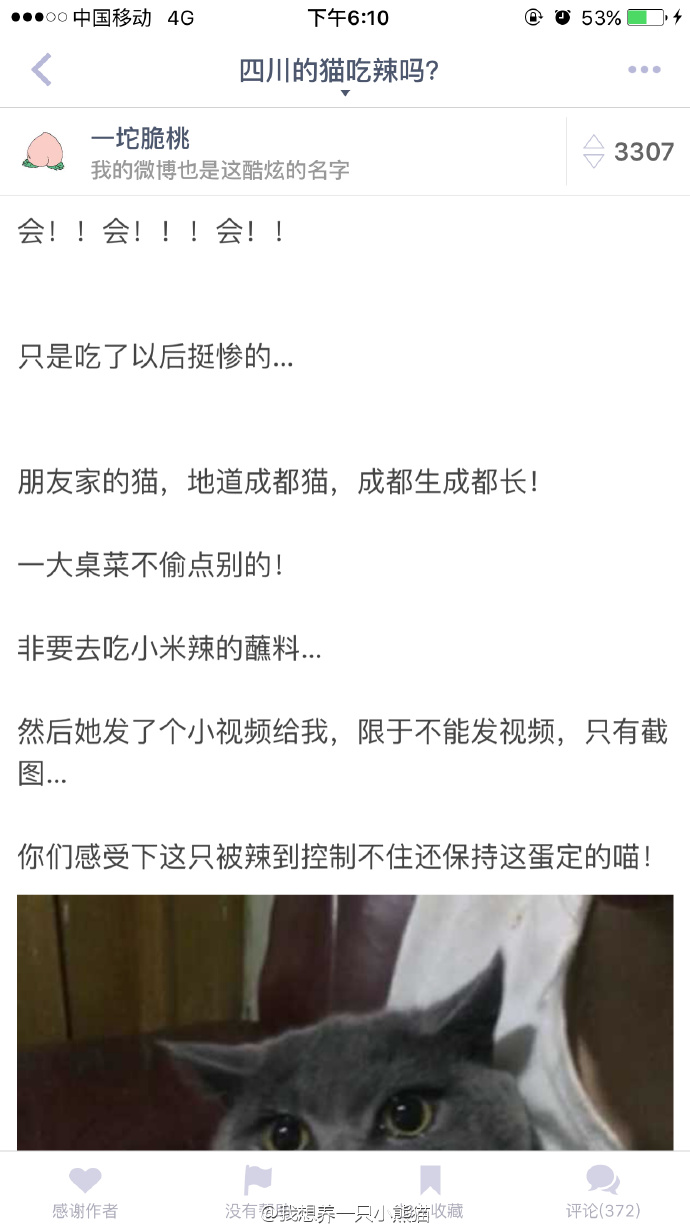 2023在线吃瓜黑料曝光-第2张图片