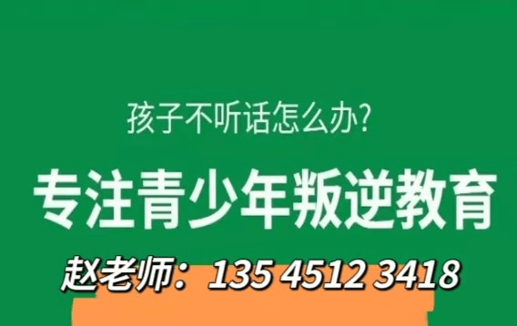 国产九九热，品质与创新的融合-第2张图片