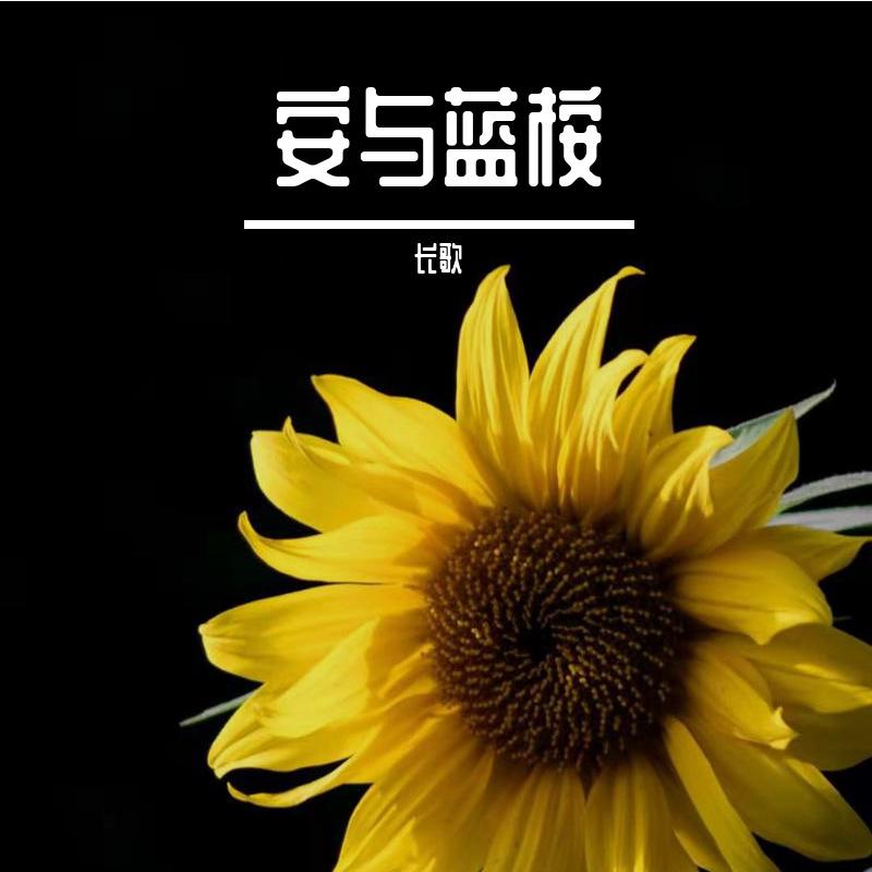 樱花草在线观看影院樱花草在线观看影院-第1张图片