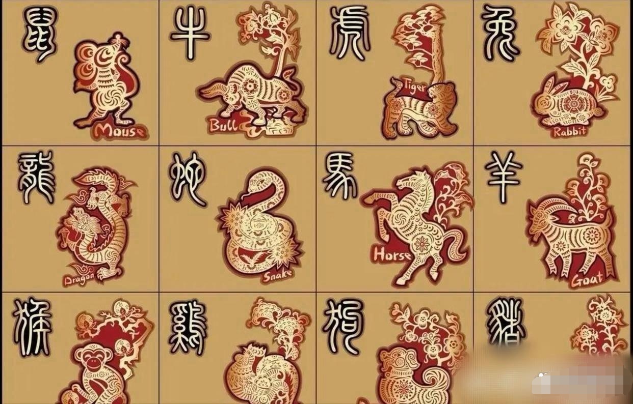 东鳞西爪是什么生肖东鳞西爪，生肖龙的故事-第1张图片