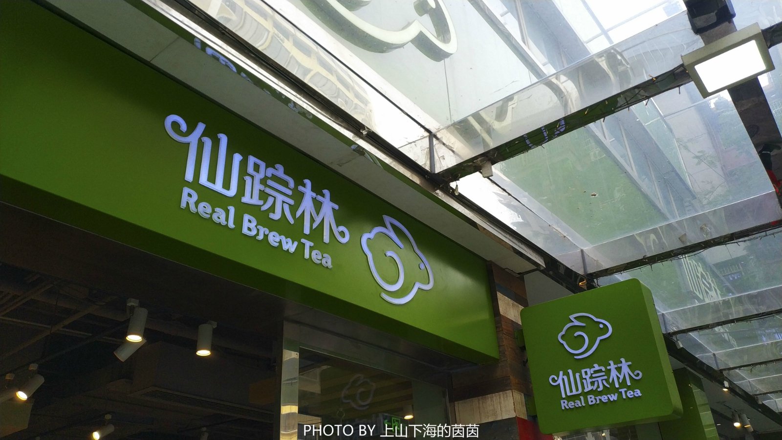 XZL仙踪林网站免费入攻略