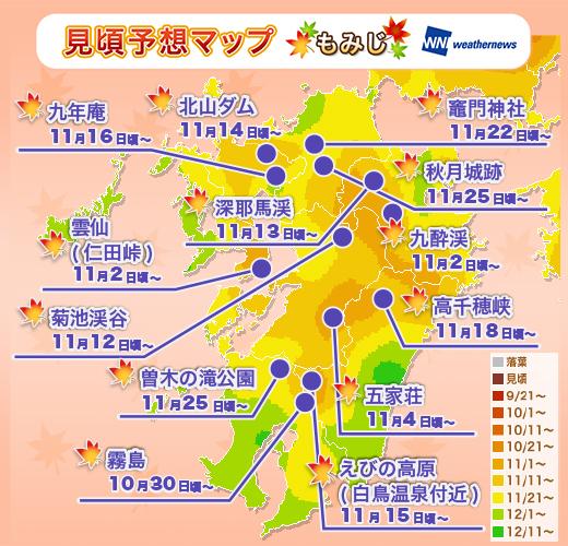 3665555红叶高手联盟红叶高手联盟心水论坛，探索技能与激情的交汇之地-第2张图片