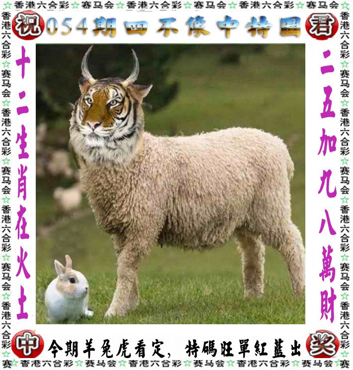2023年澳门开奖结果记录2023年澳门开奖结果记录-第1张图片