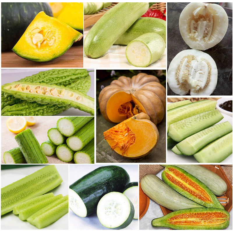 丝瓜、黄瓜、草莓、茄子、樱桃、香蕉与视频盛宴