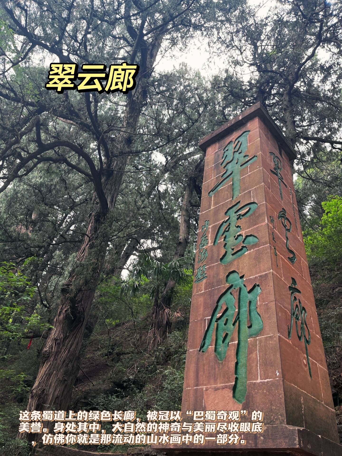 广元长途汽车站，交通枢纽与城市门户-第2张图片