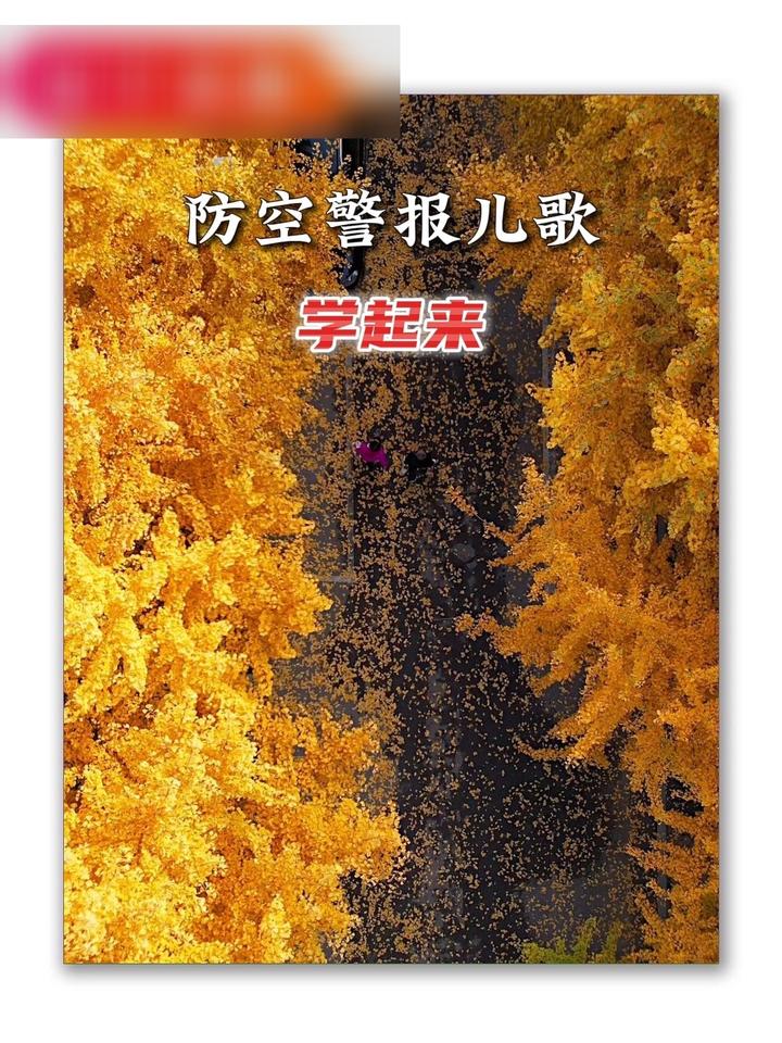 2021今天怎么拉防空警报了今日防空警报拉响，2021年的特殊时刻-第2张图片