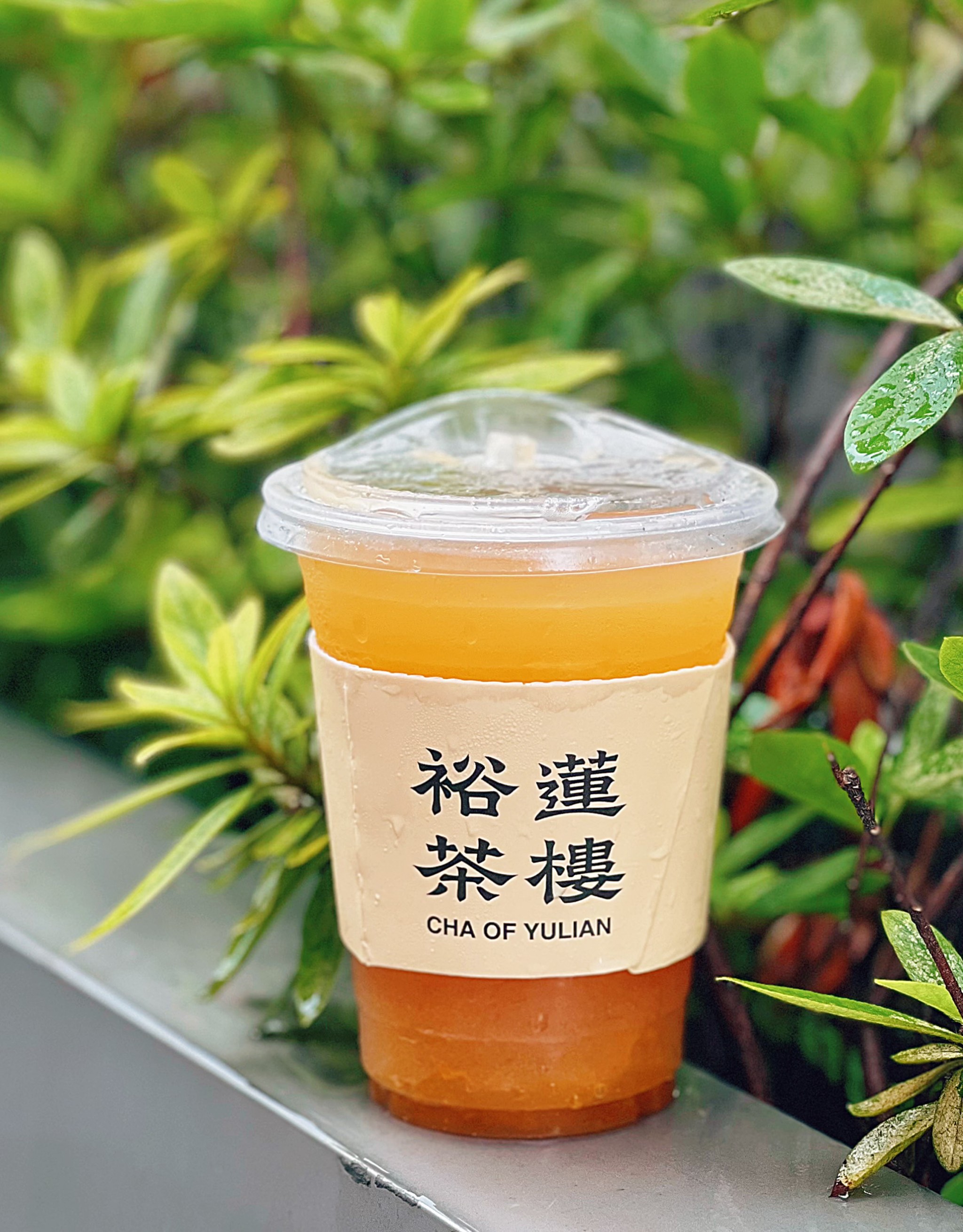 红杏视频永久网址-第1张图片