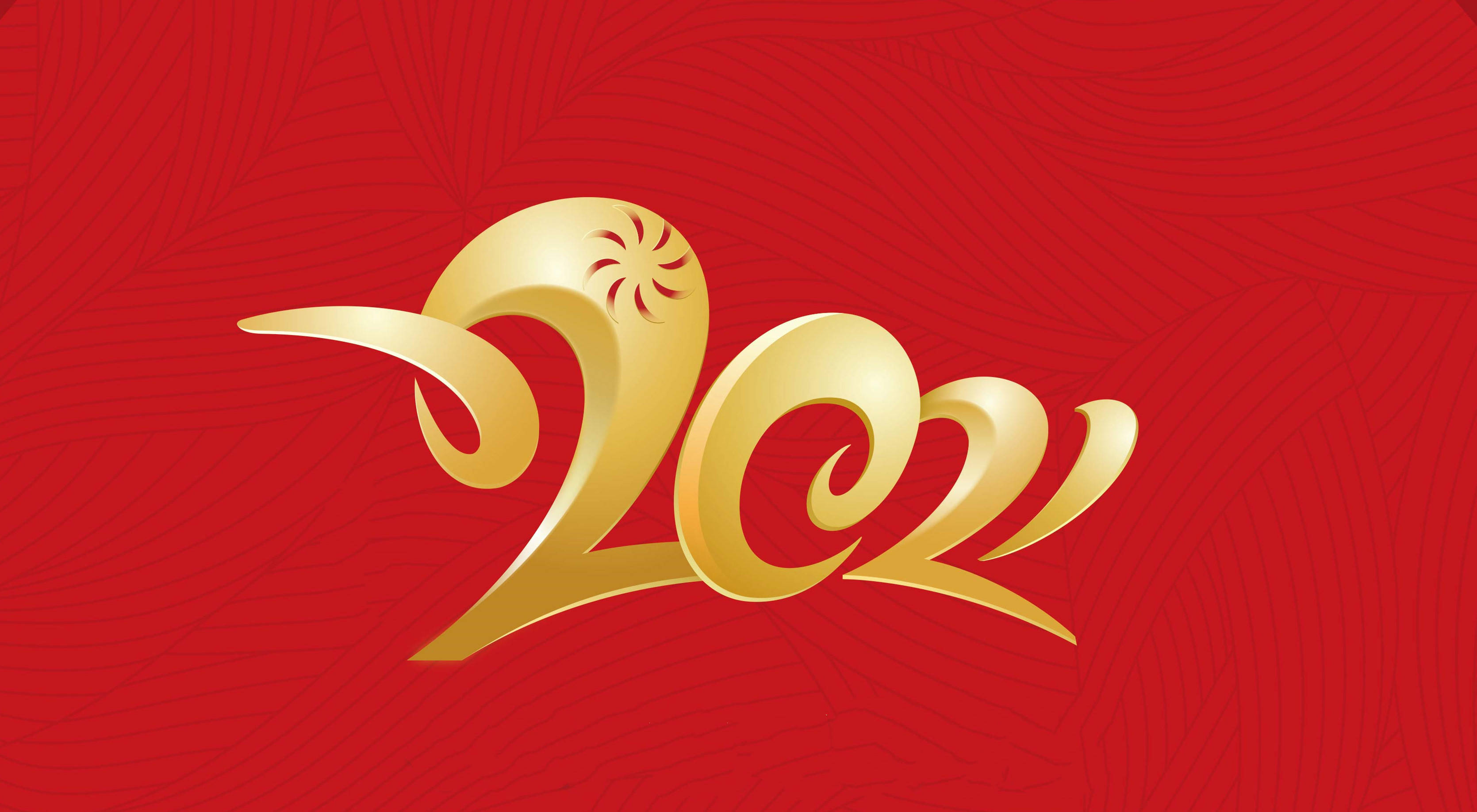 香港马现场开奖结果2021-第3张图片