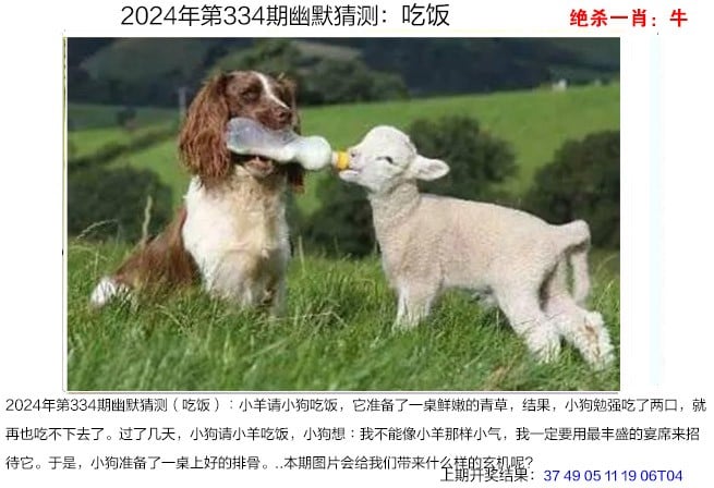 澳门天天资料免费大全2022年澳门天天资料免费大全-第2张图片