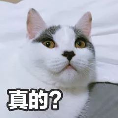 色成人论坛，探索其中的诱惑与风险-第1张图片
