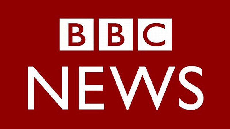 japanese黑人bbc黑人,com日本黑人与BBC，多元文化交融的探索-第1张图片