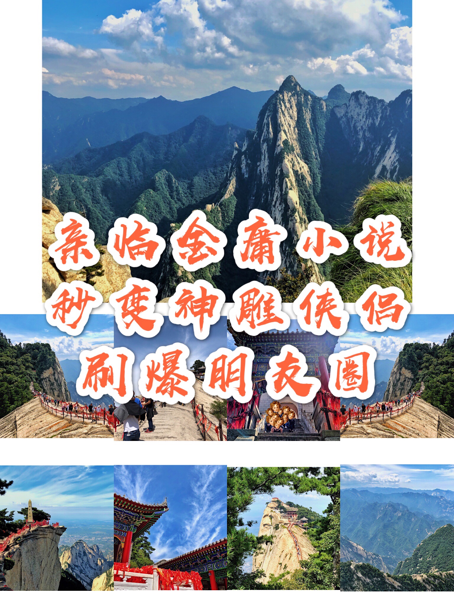 公交车500部小说免费下载公交车500部，城市交通的新篇章-第1张图片