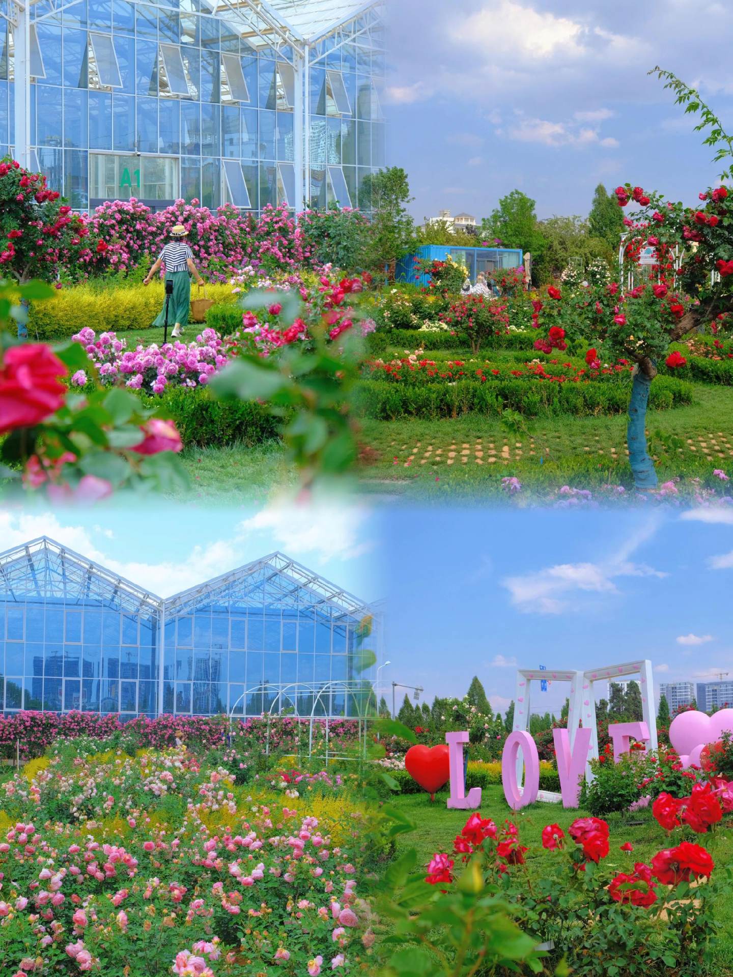 玻璃花房玻璃花-第1张图片