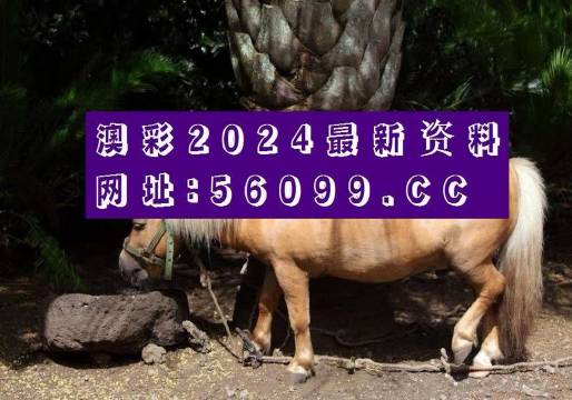 王中王资料大全枓大全正王中王资料大全-第2张图片
