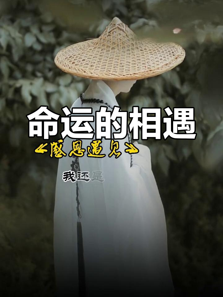 命运轮回之夜-第1张图片