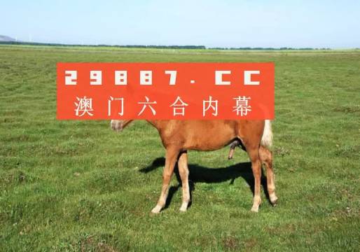 新澳彩资料免费长期公开四大才子新澳彩资料免费长期公开，四大才子的彩票之路-第1张图片