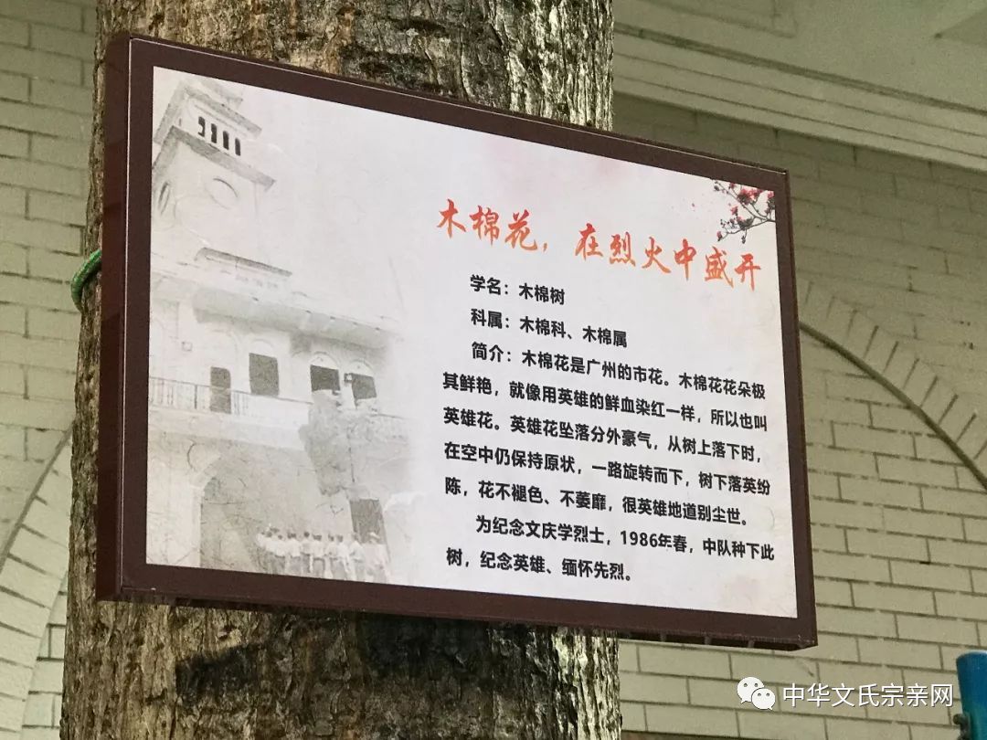 孙洪林烈士事迹概述