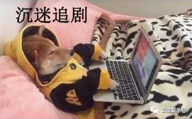 每天晚上偷偷看B站每天晚上偷偷看B站，深夜的娱乐与思考-第2张图片